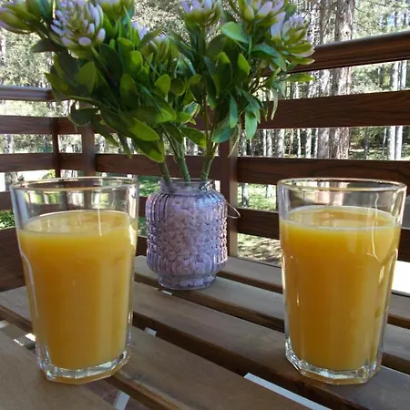 Casa Di Stefano & アパート *