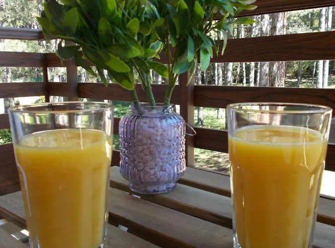 Casa Di Stefano & Apartment *