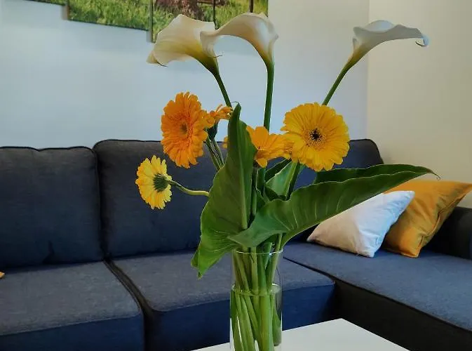 Apartment Casa Di Stefano & Zlatibor