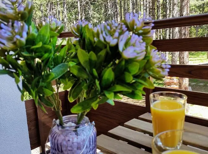 Apartment Casa Di Stefano & Zlatibor